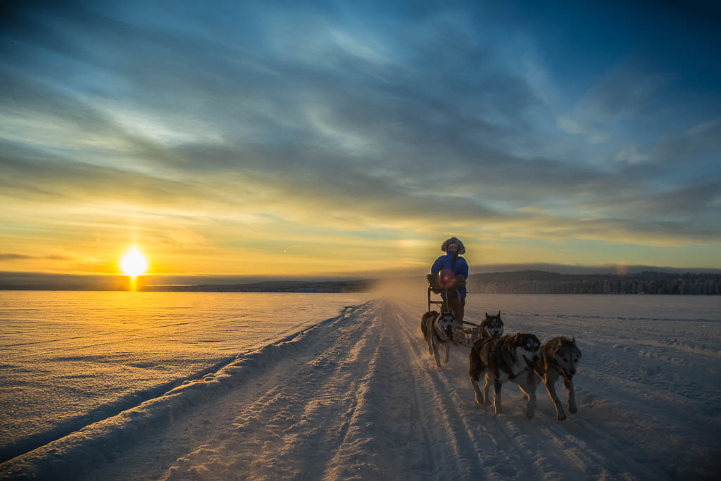 Sunset Husky Sledding, Lapland