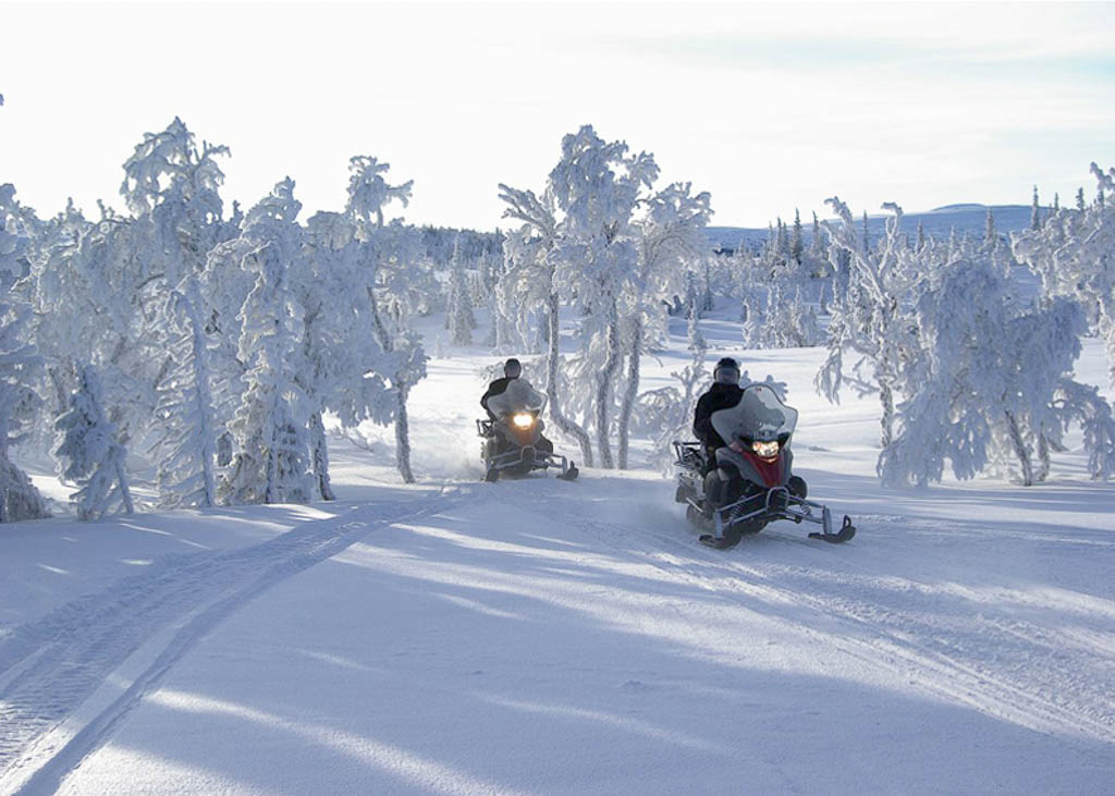 Snowmobile Safari, Lapland