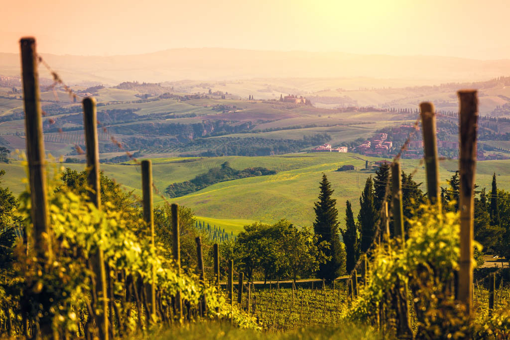 Beautiful landscape with vineyards in Tuscany