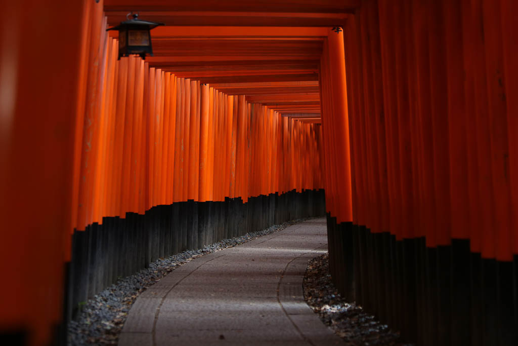 Inari Shrine, Kyoto
