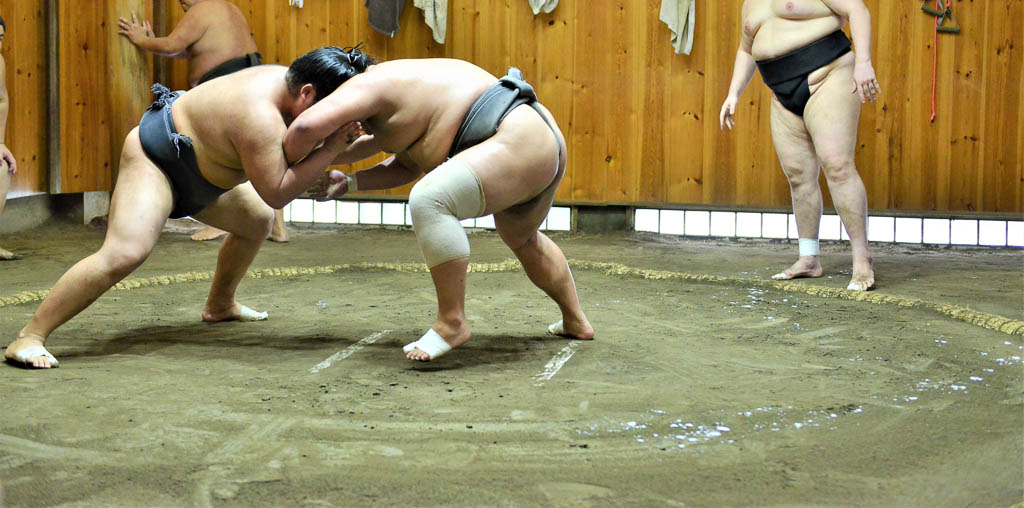 Sumo Wrestlers in Training
