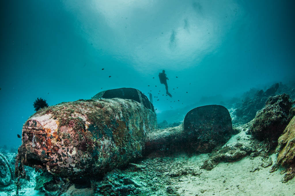 diver and sunken plane wreck
