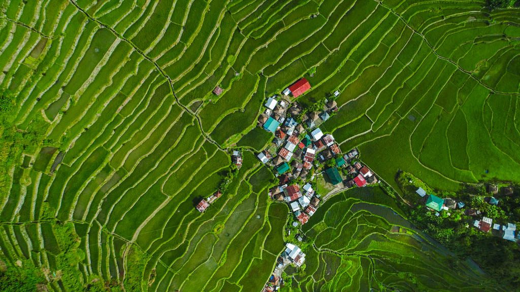 Banaue, Philippines - April 27, 2017: Aerial view showing of Batad rice terraces in Banaue, Ifugao houses and trees can be seen on the background