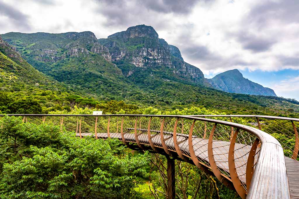 This pic shows Tree canopy walkway in Kirstenbosch Botanical Garden in Cape Town city.The pic is taken in daytime and in march 2019.