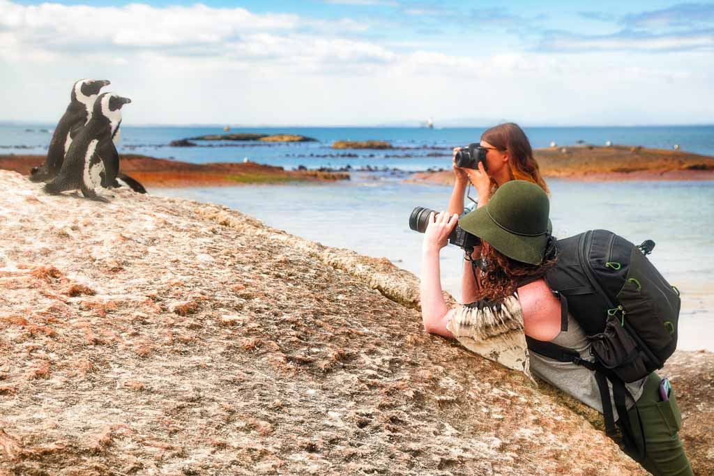 Couple of female European photographers shooting Jackass two penguins on a rock in South Africa