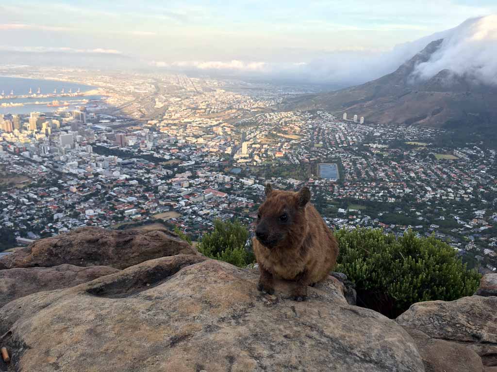 Table Mountan, Cape Town