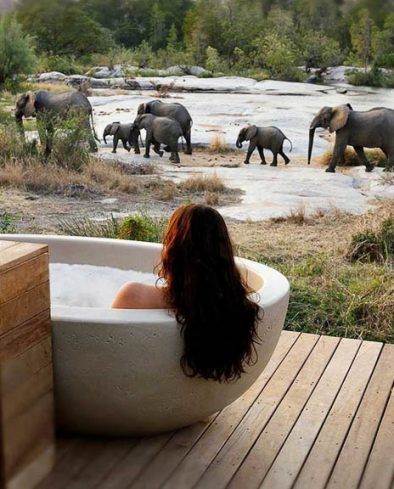 Girl in Bath with Elephants, Sabi Sands