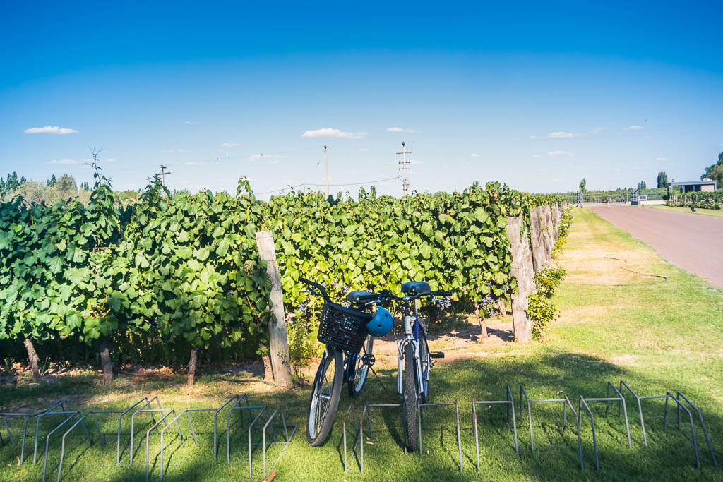 Bicycle Wine Tour, Mendoza