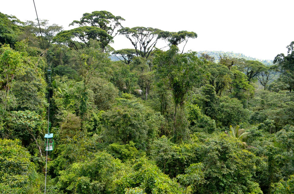 An aerial tram ride in the rainforest in Costa Rica