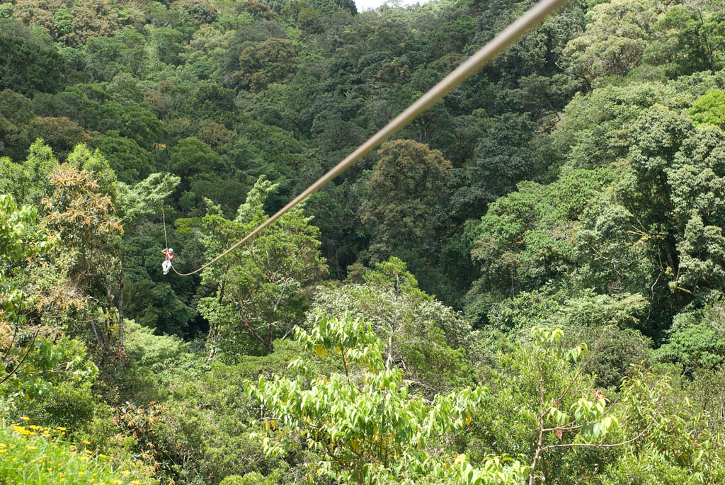 Hombre realizando canopy sobre los bosques de Costa Rica