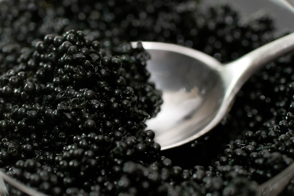 spoon in a bowl of caviar; close up