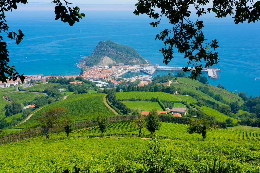 Vineyard and beautiful coast by blue sea, Getaria, coast of Basque Country, Spain