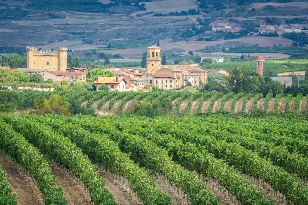 Vineyards with Sajazarra village as background, La Rioja, Spain