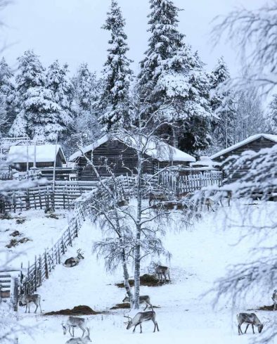 Saami Farm Stay, Rovaniemi
