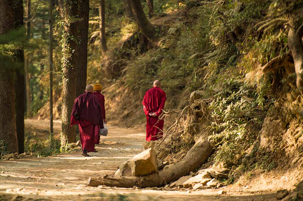Buddhist Monks, Dharamsala