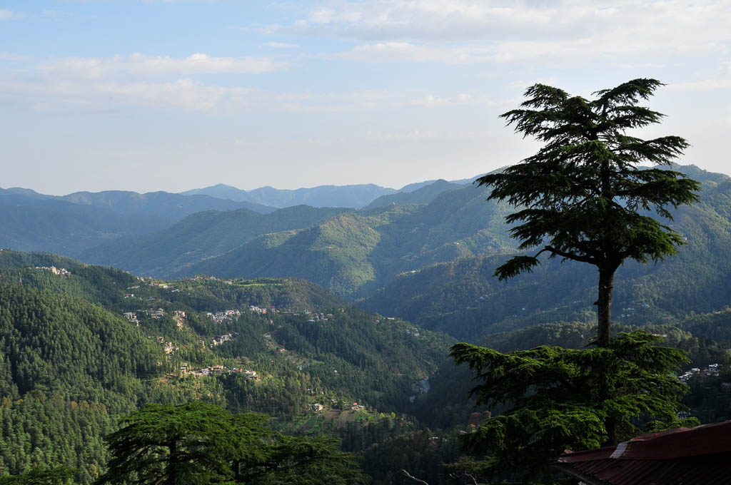Landscape image shot from Shimla looking across foothills of the Himalayas.