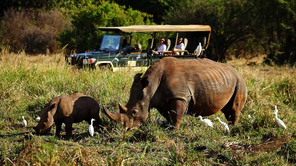 Rhino Sanctuary, Meru National Park