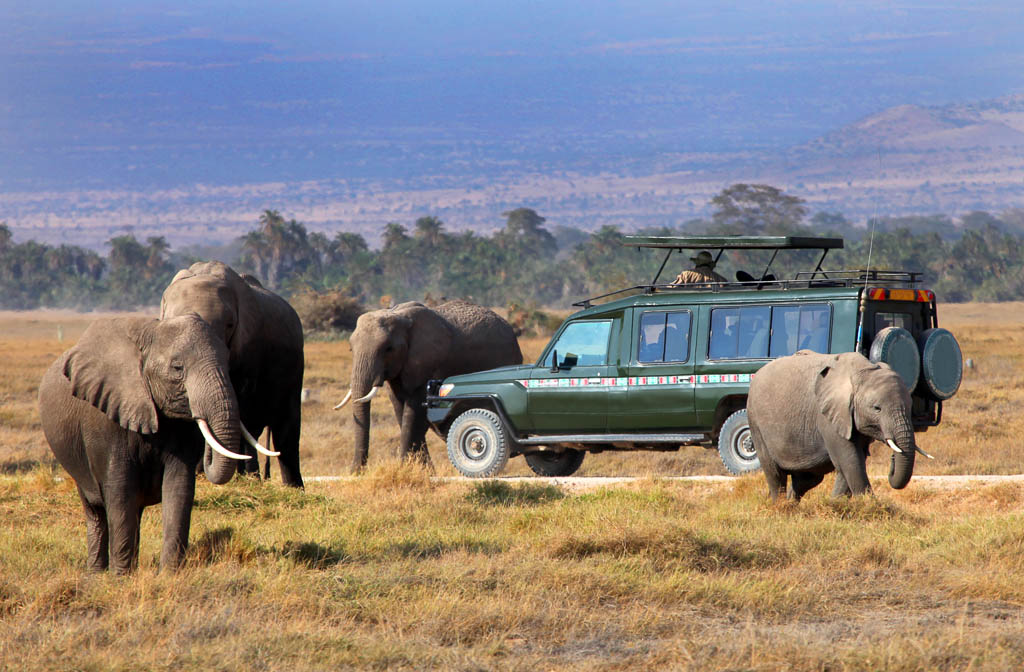 Private Game Drive, Maasai Mara