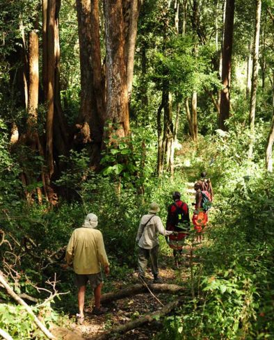 Karisia Walking Safari, Nyasura