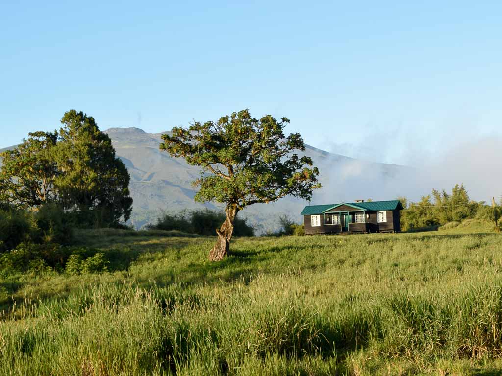Wildlife Cabin, Mt Kenya National Park