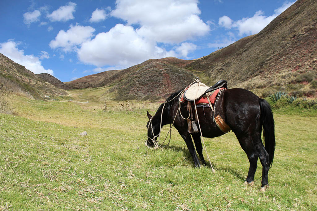 Pumahuanca Horse Ride, Sacred Valley