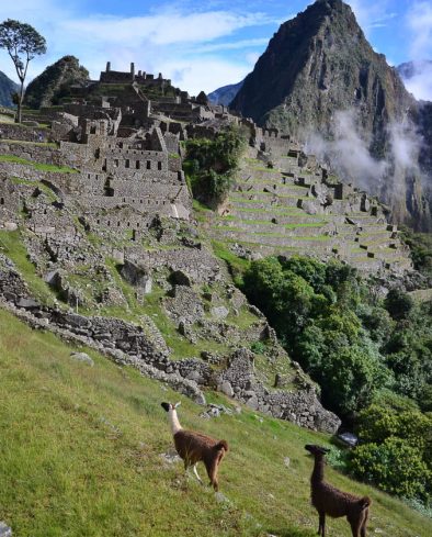 Phiri Trek, Machu Picchu