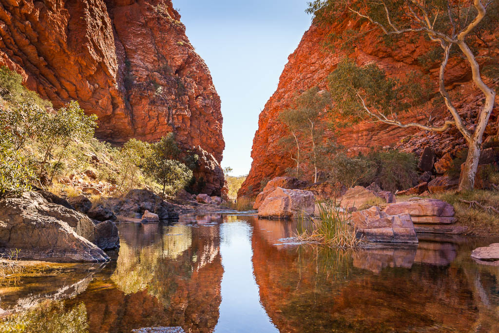 Kings Canyon to Alice Springs Two Day Outback Experience Kated