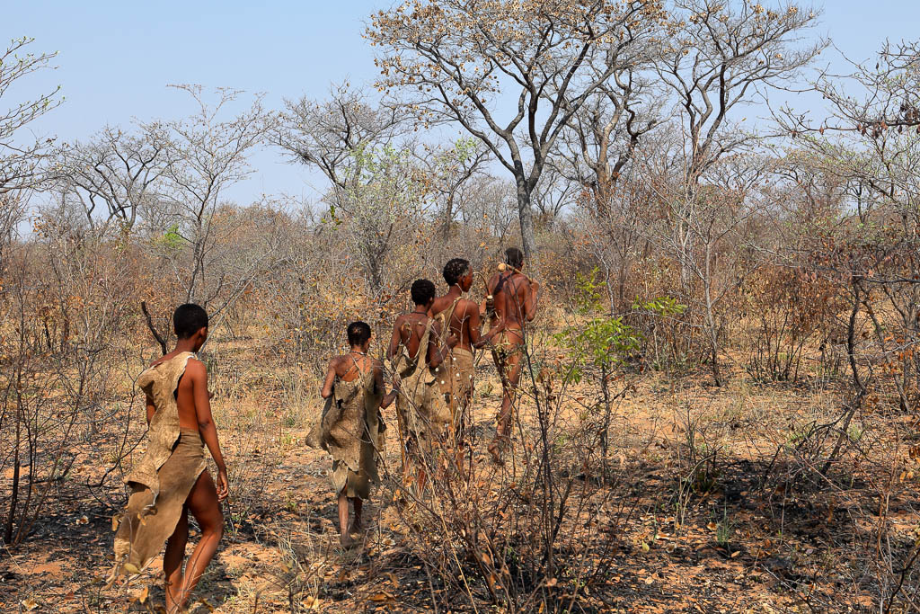 Kalahari Bushmen Wildlife Tracking Expedition Kated