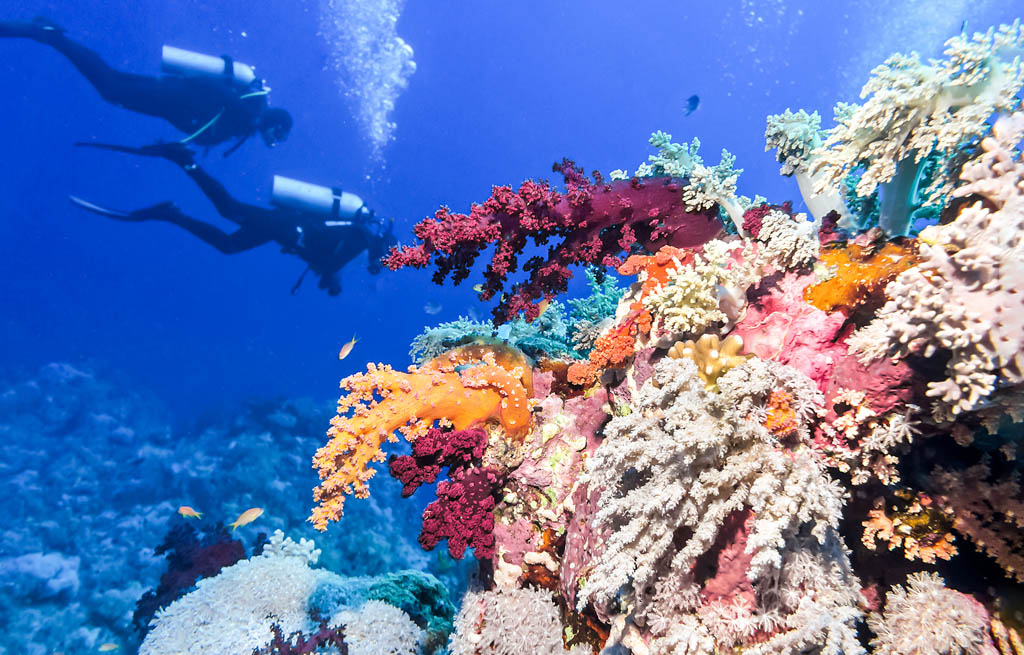 Underwater diving scuba Belize great barrier reef
