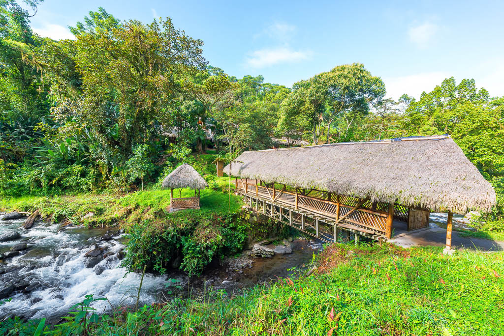 Rustic looking bridge with a thatch roof crossing a river in a cloud forest near Mindo, Ecuador