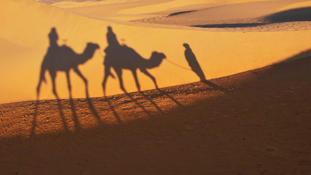 Camel ride on sand dunes at sunset, Sahara, Morocco