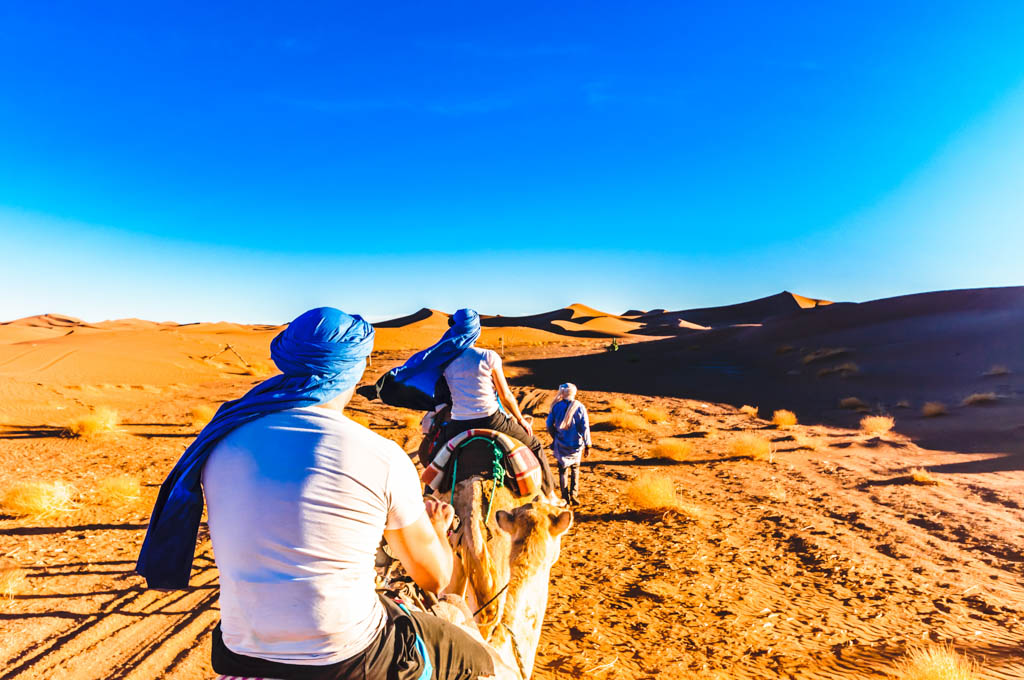 View on camel trek in the desert of Morocco next to M_hamid