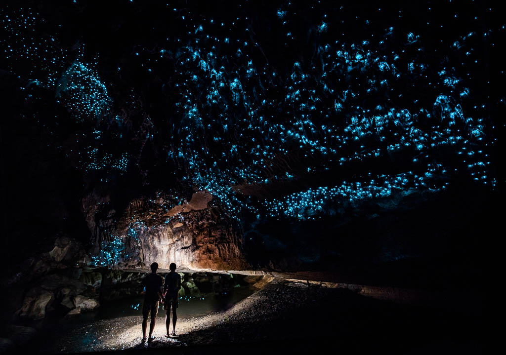 Glowworm Cathedral at the end of Waipu Cave in New Zealand