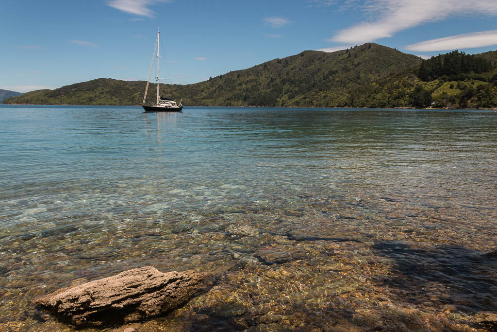 yacht moored in Queen Charlotte Sound