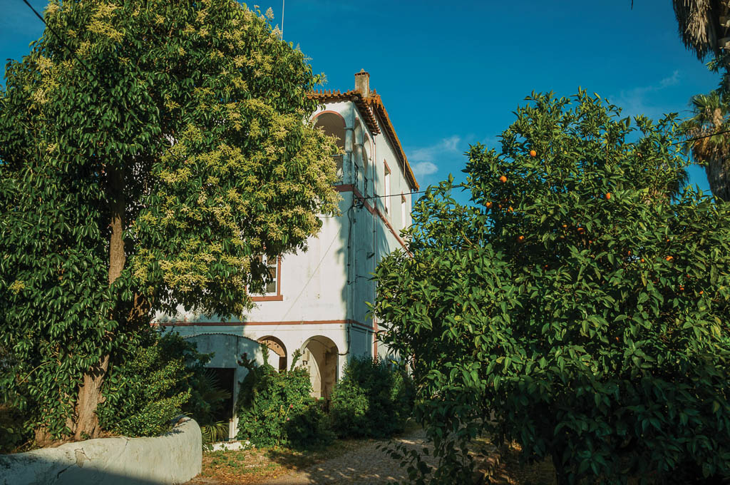 Charming cottage amidst lush green trees on sunset, in the courtyard of small farm near Elvas. A gracious star-shaped fortress city on the easternmost frontier of Portugal.