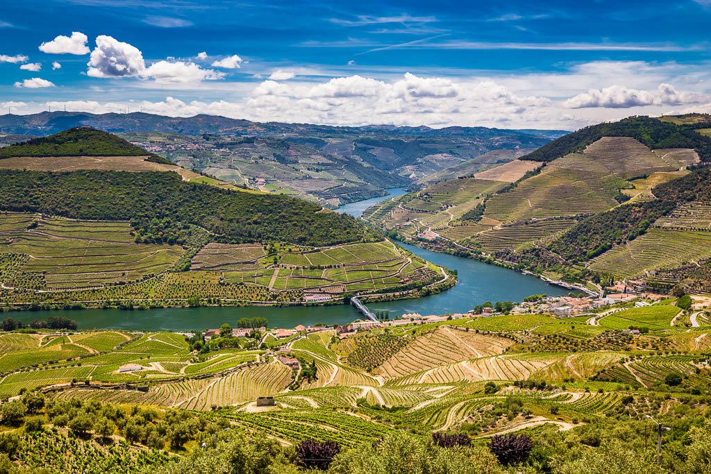 View Of Vineyards In Douro Valley From Double Viewpoint De Loivos - Vila Real District, Portugal, Europe