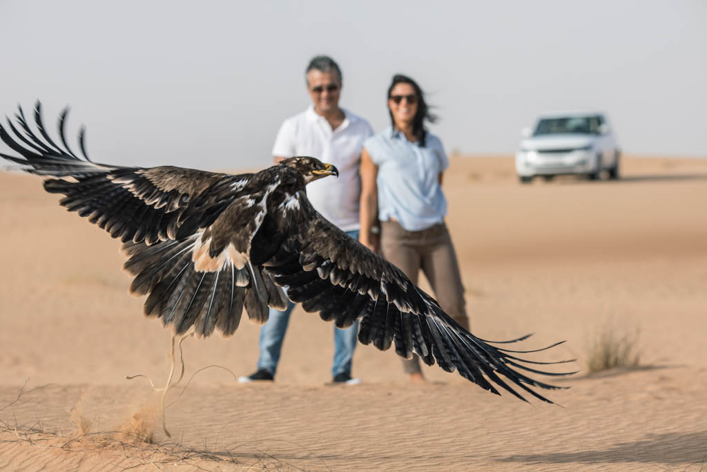 Royal Private Falconry Experience