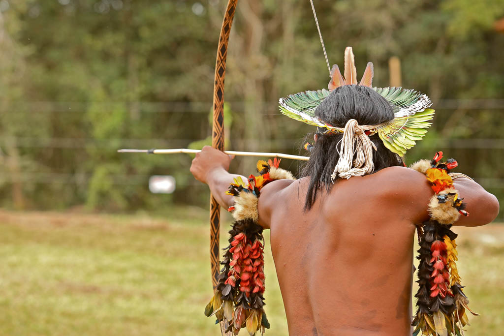 Forest Experience with the Guarani People, Southern Brazil