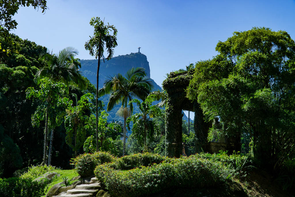 Botanical Gardens, Rio de Janeiro