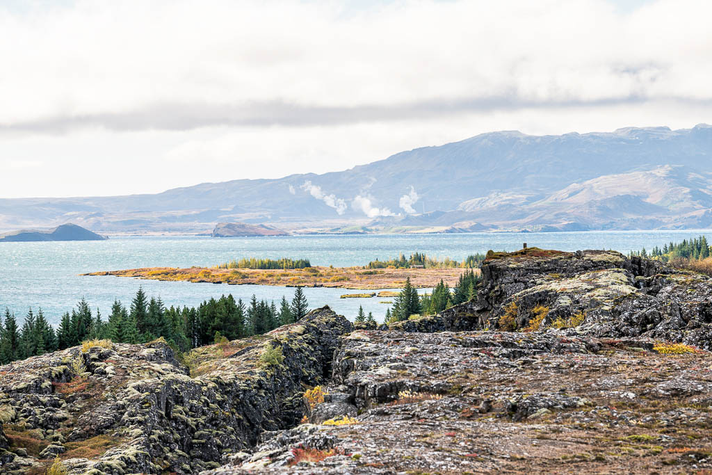 Thingvellir, Iceland National Park during autumn day in Iceland Golden circle and mountain lake with pine trees rocky landscape