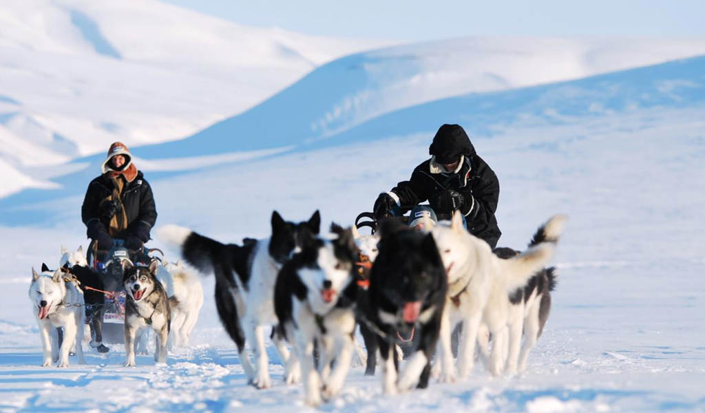 Spitsbergen Winter Dog Sledding