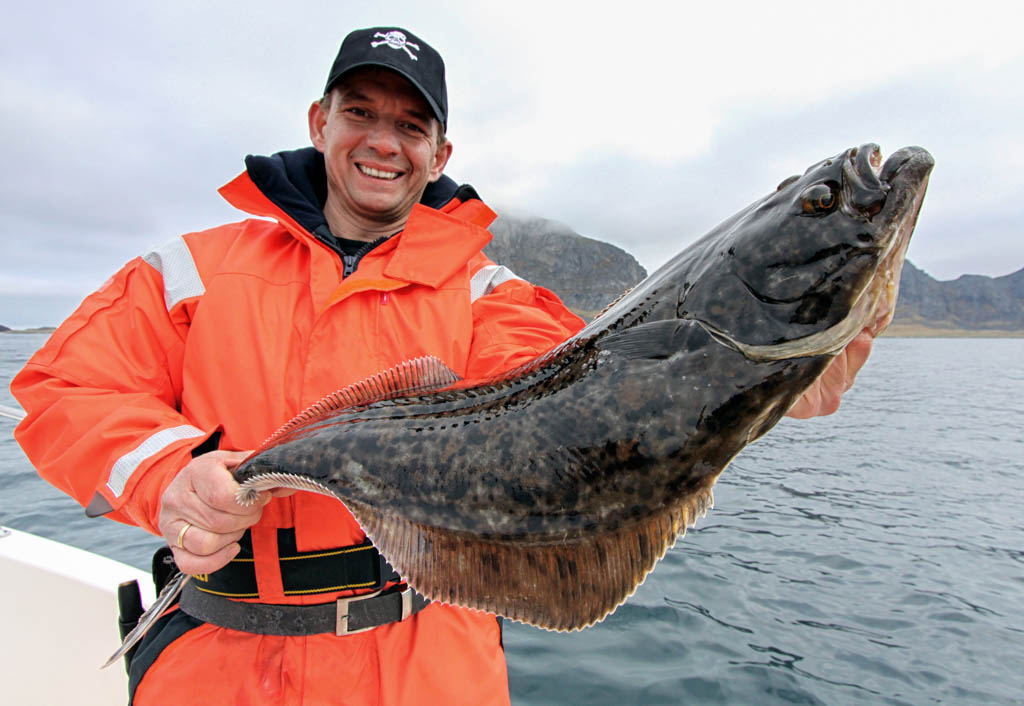 Halibut caught by sport fisherman
