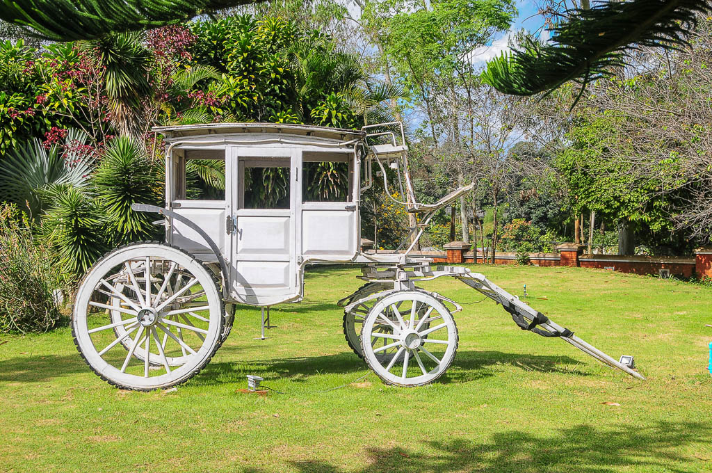 Carriages drawn by horses are a common form of transport in Pyin Oo Lwin, Myanmar