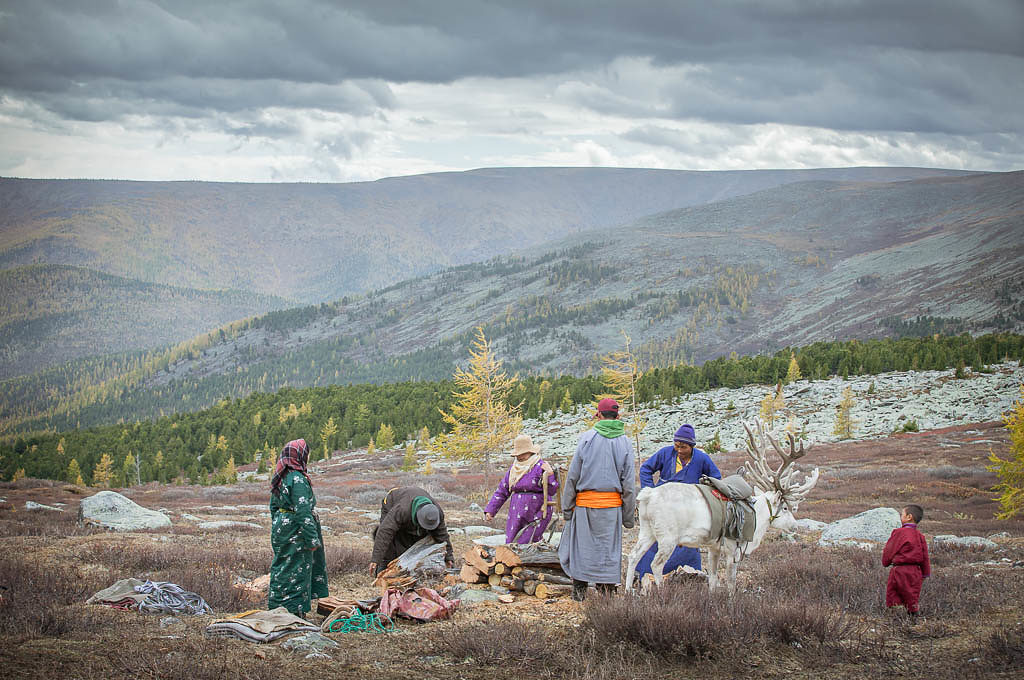 tsaatan familu preparing firewood in the nature of norther Mongolia