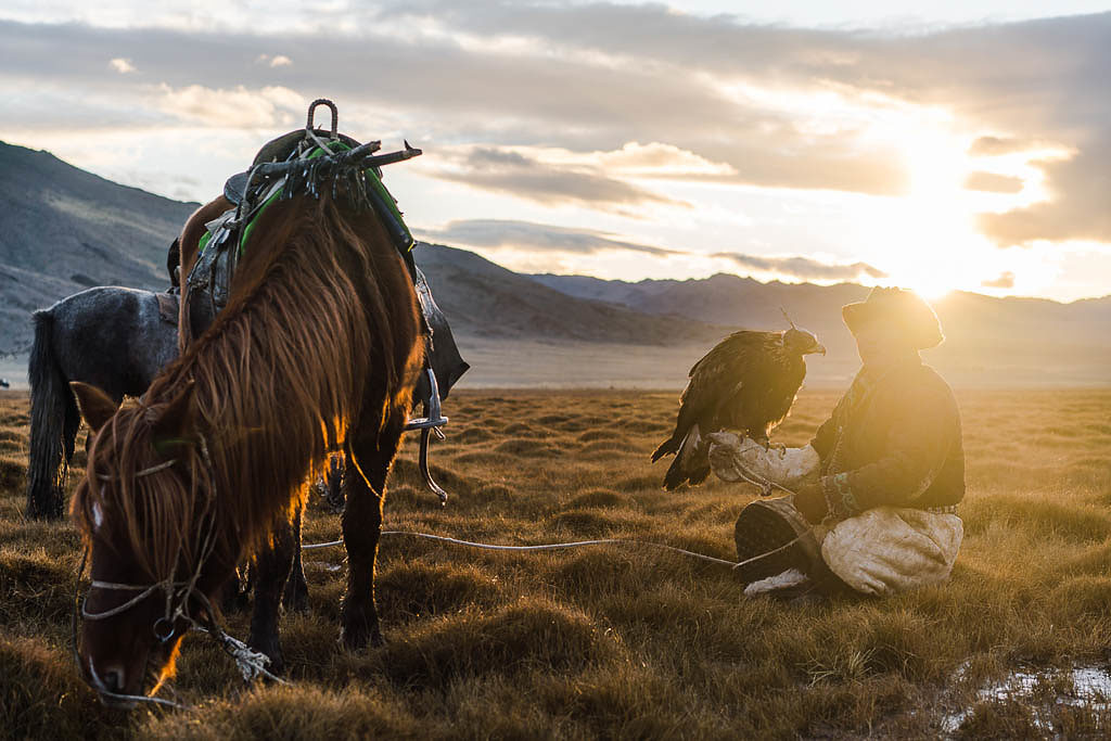 Eagle hunter in steppe in Mongolia