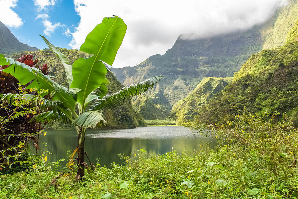 Tahiti in French Polynesia, Vaihiria lake in the Papenoo valley in the mountains, luxuriant bushy vegetation