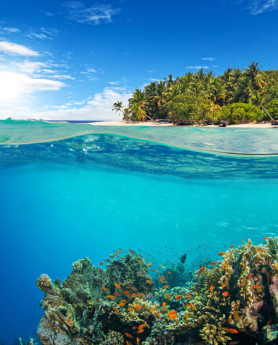 Under and above water surface view of coral reef. Underwater fauna and flora, marine life and exotic island on background